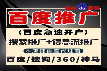 某品牌SEM广告投放的全程记录与效果分析